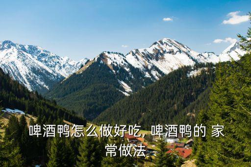  啤酒鴨怎么做好吃, 啤酒鴨的 家常做法