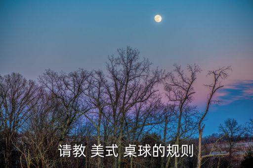 請教 美式 桌球的規則