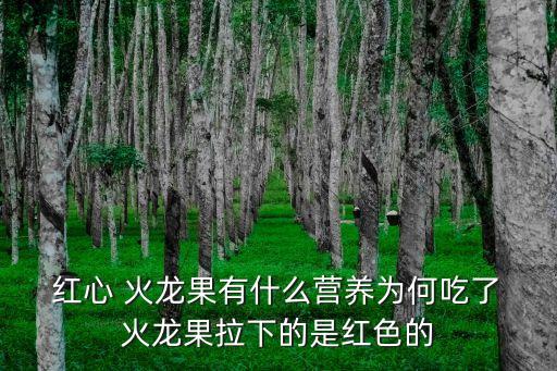 紅心火龍果,吃紅心火龍水果可預防貧血?