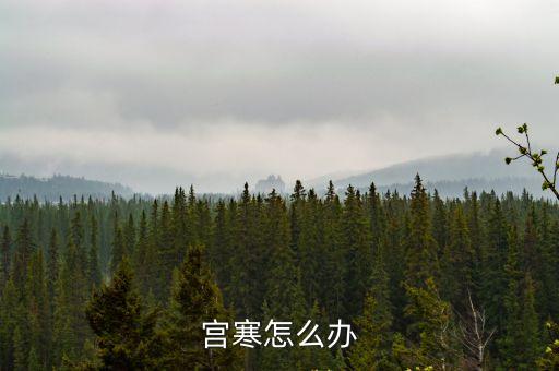宮寒怎么辦