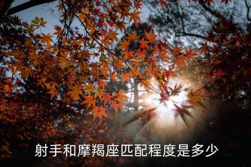  射手和摩羯座匹配程度是多少