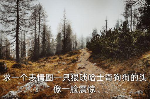 求一個表情圖一只猥瑣哈士奇狗狗的頭像一臉震驚