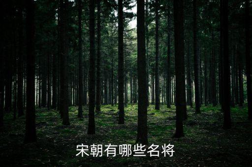 宋朝有哪些名將