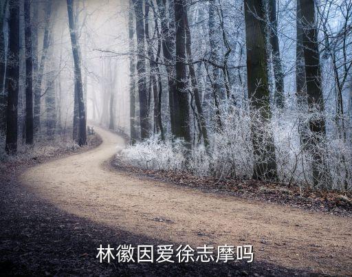 徐志摩和林徽因，林徽因和徐志摩什么關系