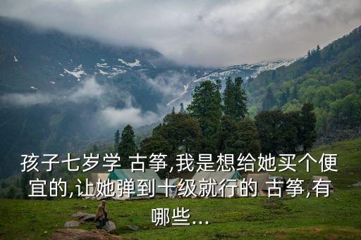 孩子七歲學 古箏,我是想給她買個便宜的,讓她彈到十級就行的 古箏,有哪些...