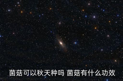  菌菇可以秋天種嗎 菌菇有什么功效