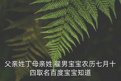 父親姓丁母親姓 翟男寶寶農(nóng)歷七月十四取名百度寶寶知道