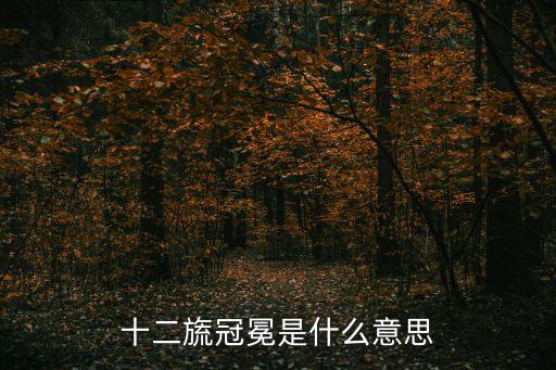 旒冕,中國古代皇帝戴十二冠加冕服裝飾有12種圖案