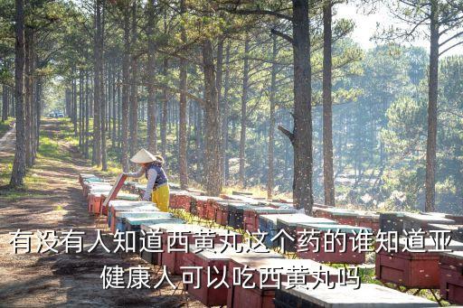 有沒有人知道西黃丸這個藥的誰知道亞健康人可以吃西黃丸嗎