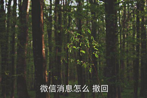  微信消息怎么 撤回