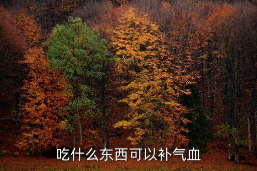 吃什么東西可以補氣血