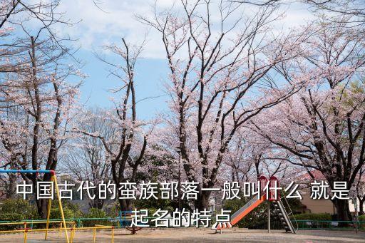 中國古代的蠻族部落一般叫什么 就是起名的特點