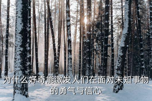 好奇心的作用,好奇心是個體學會喝酒內在動機之一
