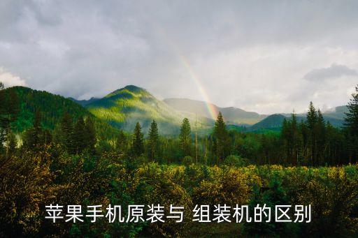 蘋果手機(jī)原裝與 組裝機(jī)的區(qū)別