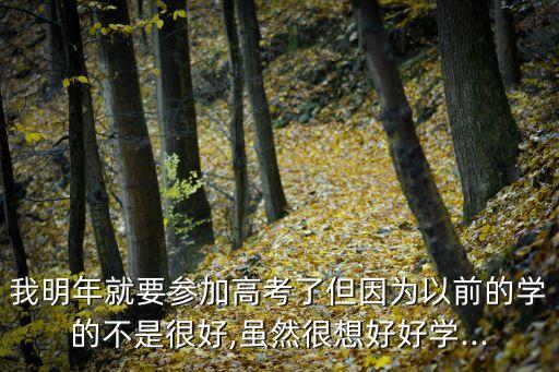 高三語文復(fù)習(xí)計劃,每周末抽出點(diǎn)時間來復(fù)習(xí)一下高三課程