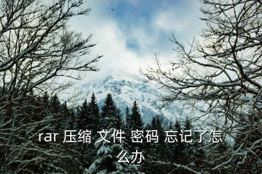 rar 壓縮 文件 密碼 忘記了怎么辦