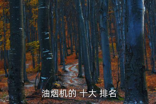  油煙機的 十大 排名