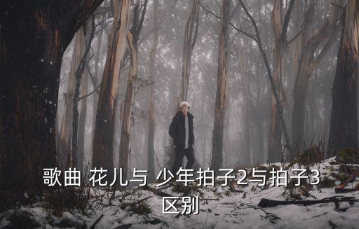 歌曲花兒與少年,《花中之花》第二集