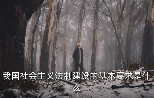 我國社會主義法制建設的基本要求是什么