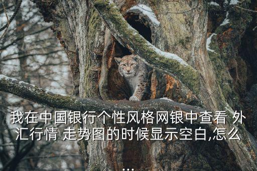 我在中國銀行個性風格網銀中查看 外匯行情 走勢圖的時候顯示空白,怎么...