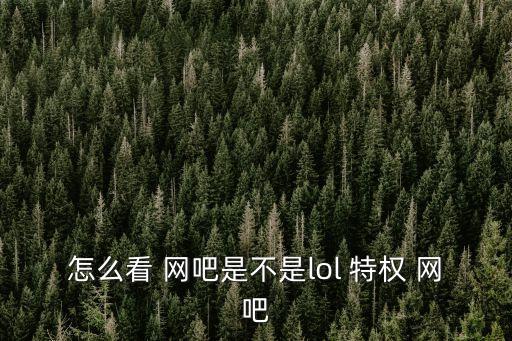 怎么看 網吧是不是lol 特權 網吧