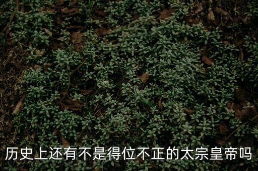 歷史上還有不是得位不正的太宗皇帝嗎