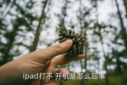 ipad開不開機,越獄后手機開始打不開?電量不足引起原因