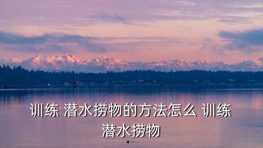 潛水訓練,乘客可選擇不超過你心臟的淺水區潛水