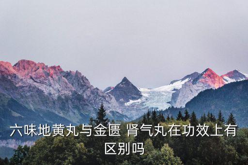 六味地黃丸與金匱 腎氣丸在功效上有區別嗎
