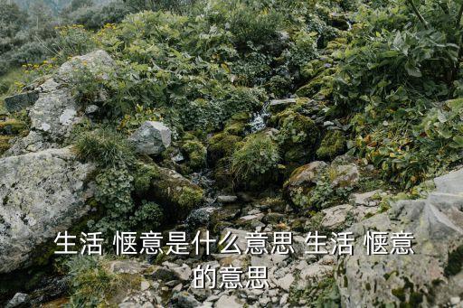 愜意生活,第二集:生活愜意