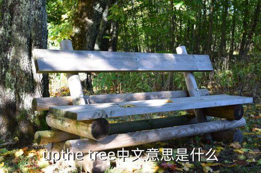 upthe tree中文意思是什么