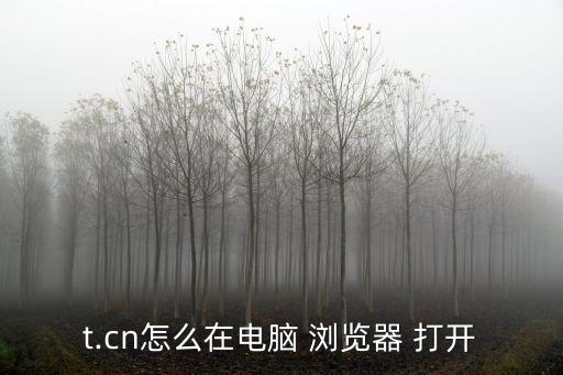在瀏覽器中打開,怎么用tik瀏覽器打開網頁?