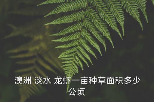  澳洲 淡水 龍蝦一畝種草面積多少公頃