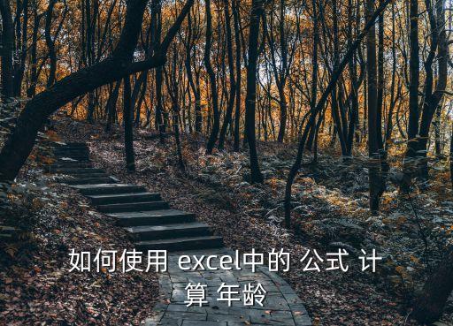 如何使用 excel中的 公式 計算 年齡