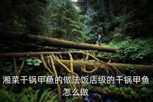 干鍋八爪魚，湘菜干鍋甲魚的做法飯店級的干鍋甲魚怎么做