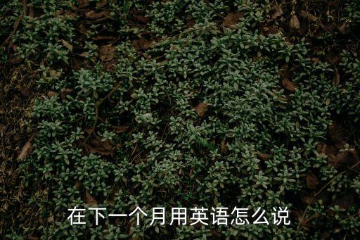 在下一個月用英語怎么說