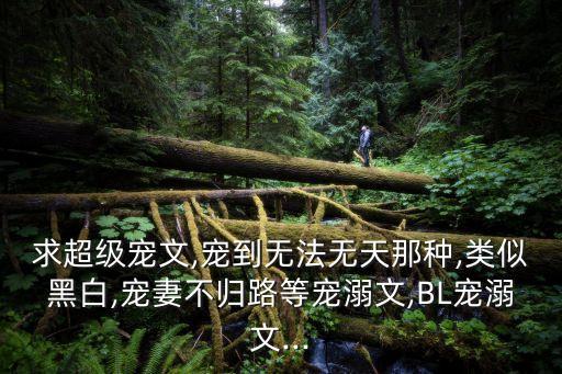 求超級寵文,寵到無法無天那種,類似黑白,寵妻不歸路等寵溺文,BL寵溺文...