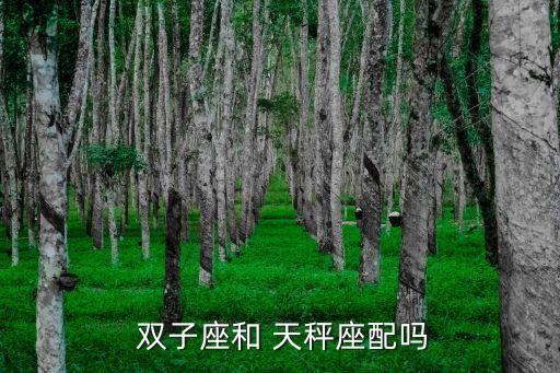  雙子座和 天秤座配嗎
