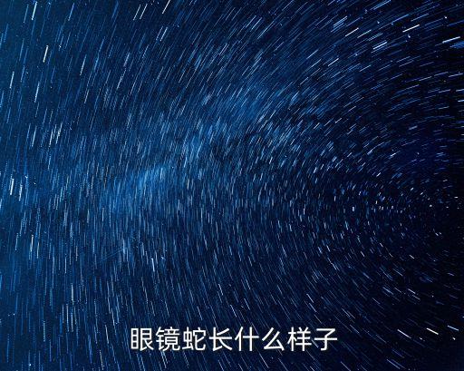 眼鏡蛇科,第二集:眼鏡蛇家族