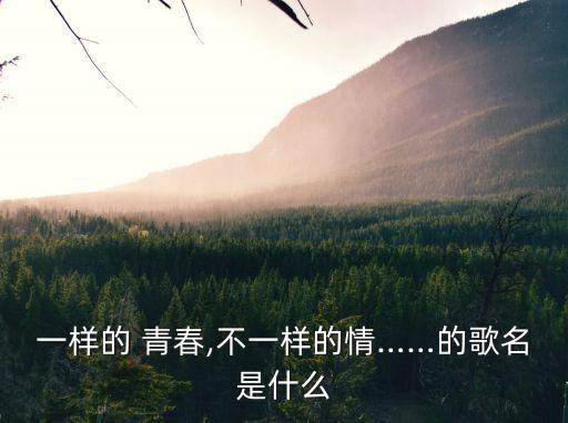 一樣的 青春,不一樣的情……的歌名是什么