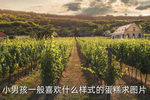 小男孩一般喜歡什么樣式的蛋糕求圖片