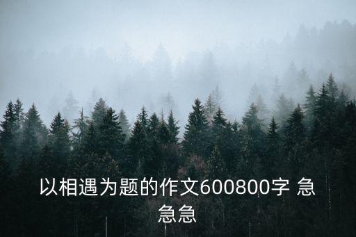相遇作文，作文相逢800字