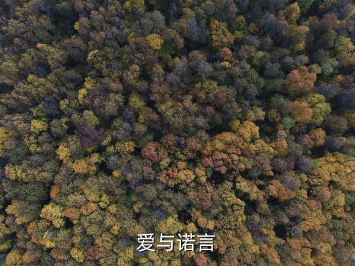 愛與諾言