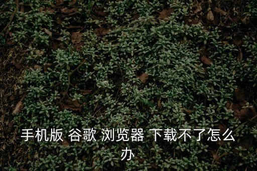 手機(jī)版 谷歌 瀏覽器 下載不了怎么辦