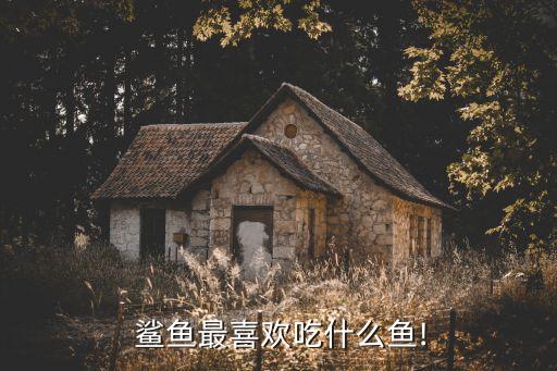  鯊魚最喜歡吃什么魚!