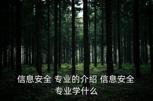  信息安全 專業(yè)的介紹 信息安全 專業(yè)學(xué)什么