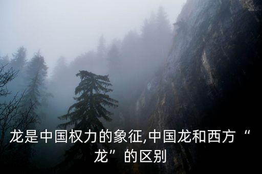 龍是中國權力的象征,中國龍和西方“龍”的區別