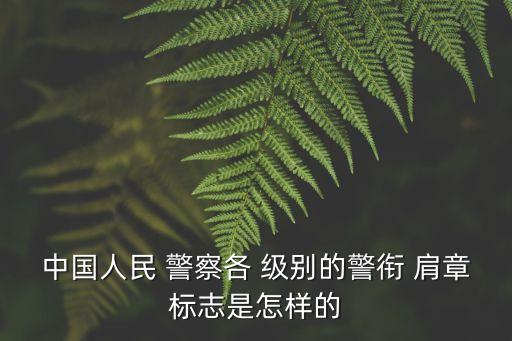 中國人民 警察各 級別的警銜 肩章標志是怎樣的
