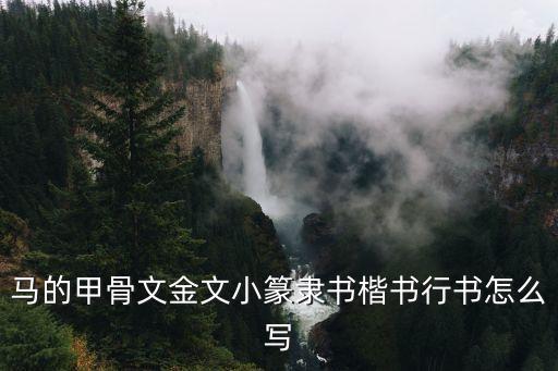 馬字草書,第一集:中國的古文字