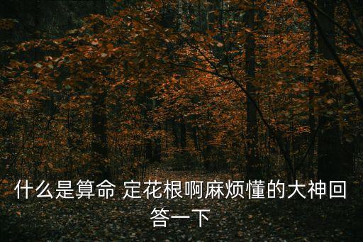 定花,梅花根從何而來?